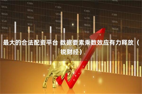 最大的合法配资平台 数据要素乘数效应有力释放（锐财经）