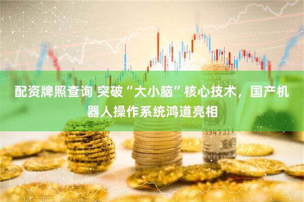 配资牌照查询 突破“大小脑”核心技术，国产机器人操作系统鸿道亮相