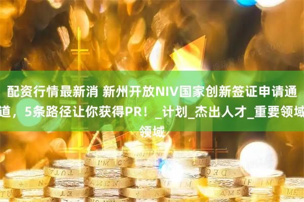 配资行情最新消 新州开放NIV国家创新签证申请通道，5条路径让你获得PR！_计划_杰出人才_重要领域