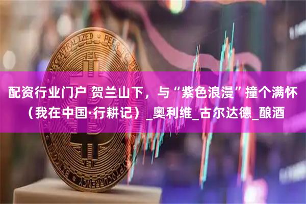 配资行业门户 贺兰山下，与“紫色浪漫”撞个满怀（我在中国·行耕记）_奥利维_古尔达德_酿酒