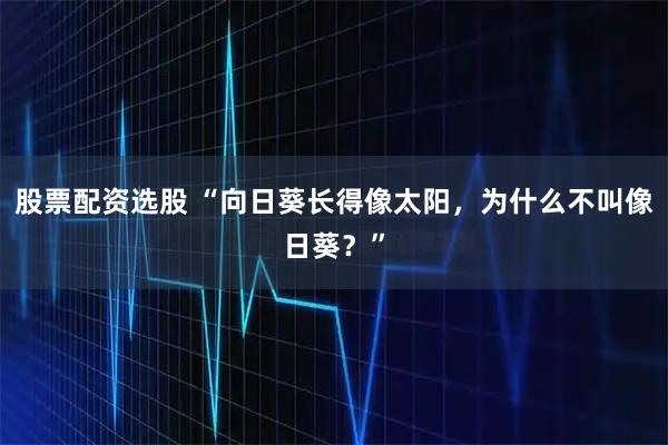 股票配资选股 “向日葵长得像太阳，为什么不叫像日葵？”